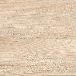 7170 Nw Вяз Палермо