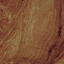 1317 L Корень темный