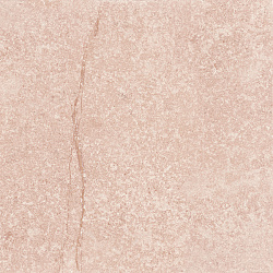 G304-ShunutBrown МR